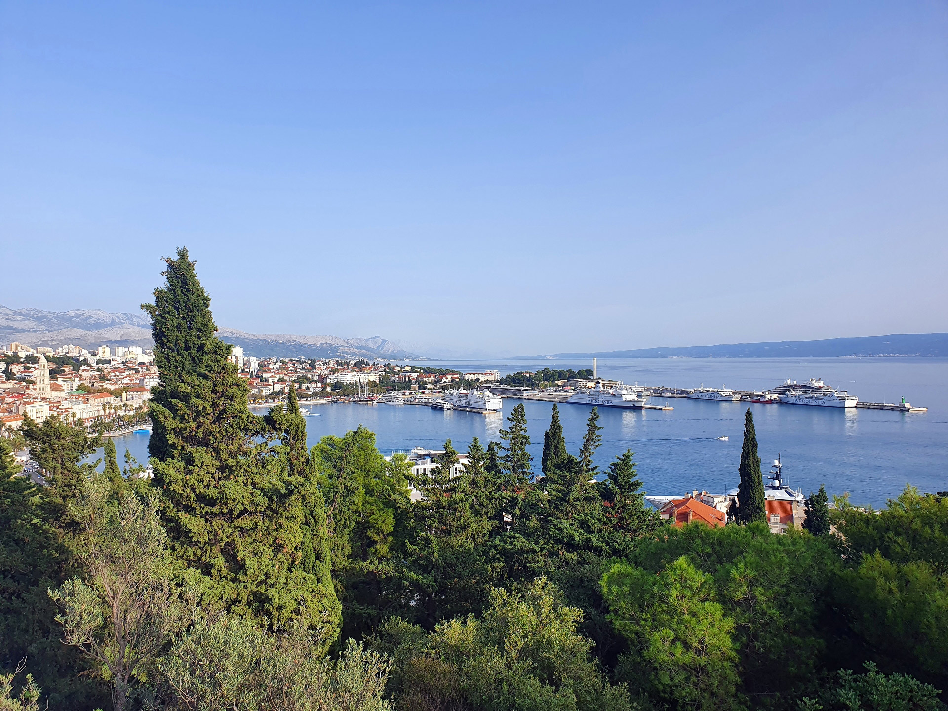 Split